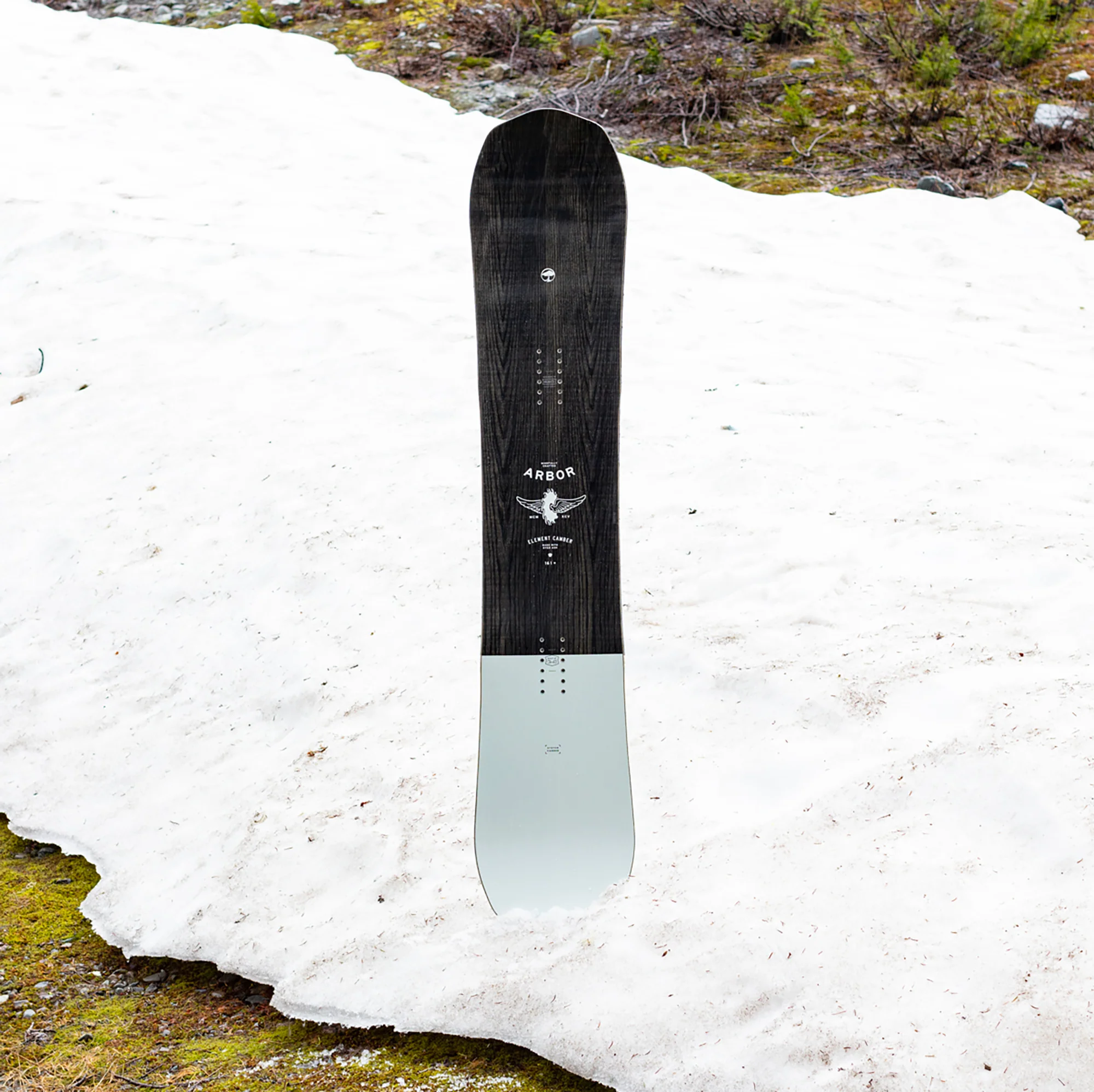 Element Camber - Image 5