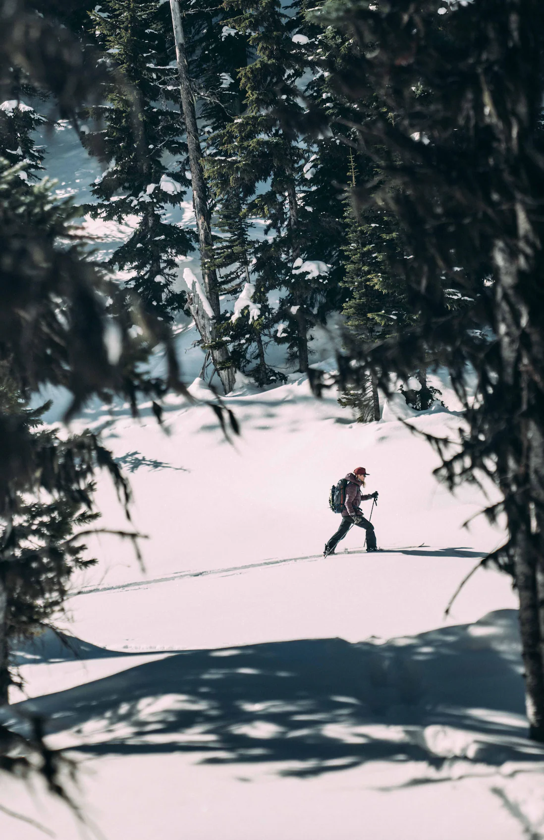 Swoon Splitboard Rocker - Image 6